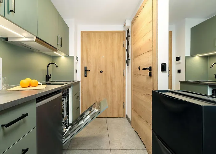 公寓 Pet Friendly Cozy With Balcony In By Renters